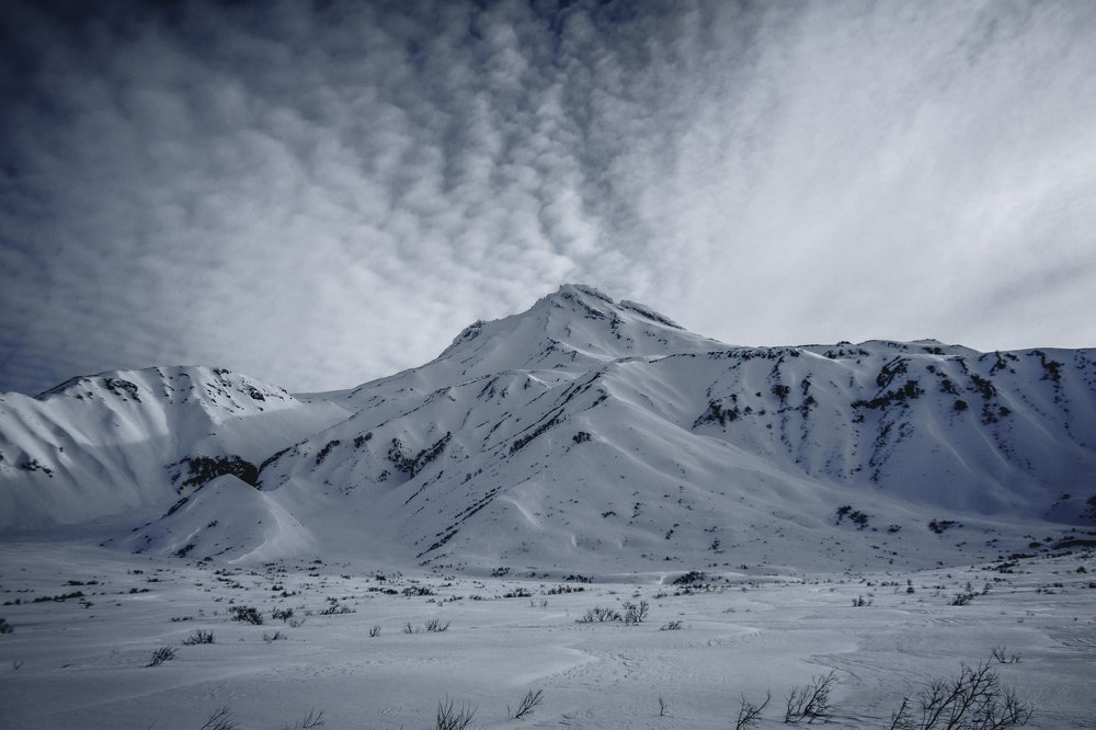 Фотография автора Михаил Юдаев