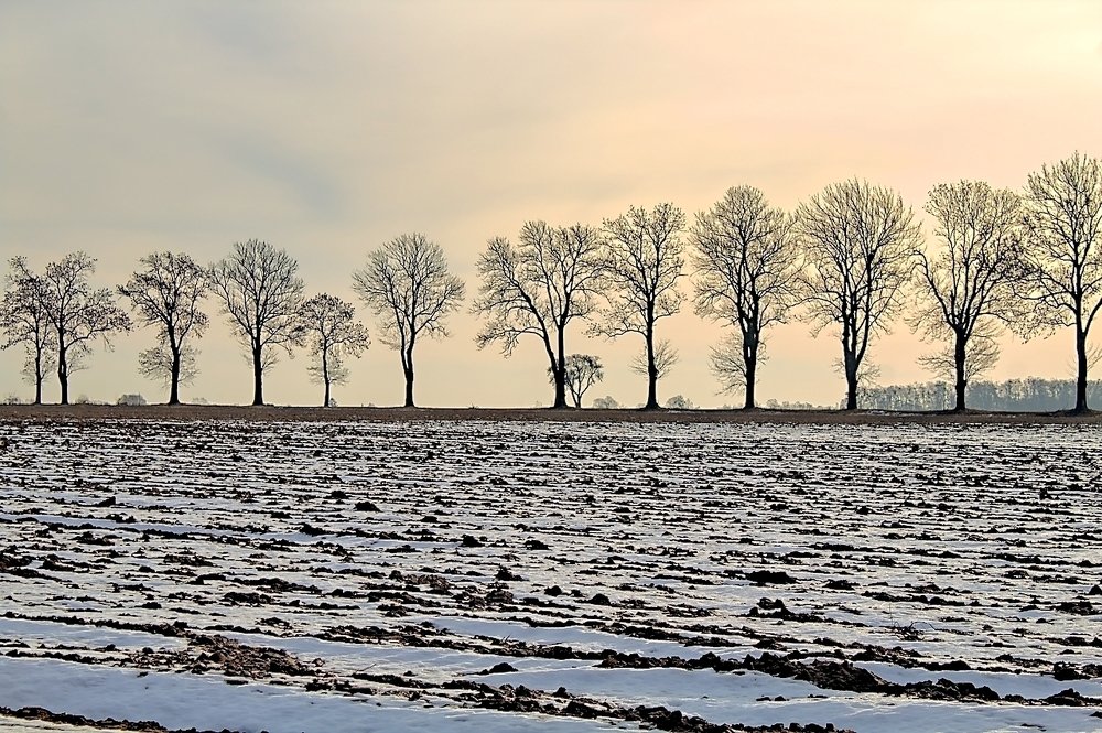Фотография автора Ewa Lamond