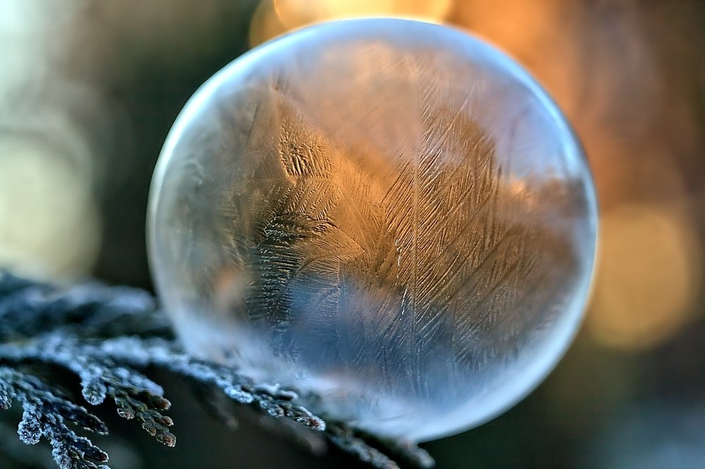 Фотография автора Ewa Lamond