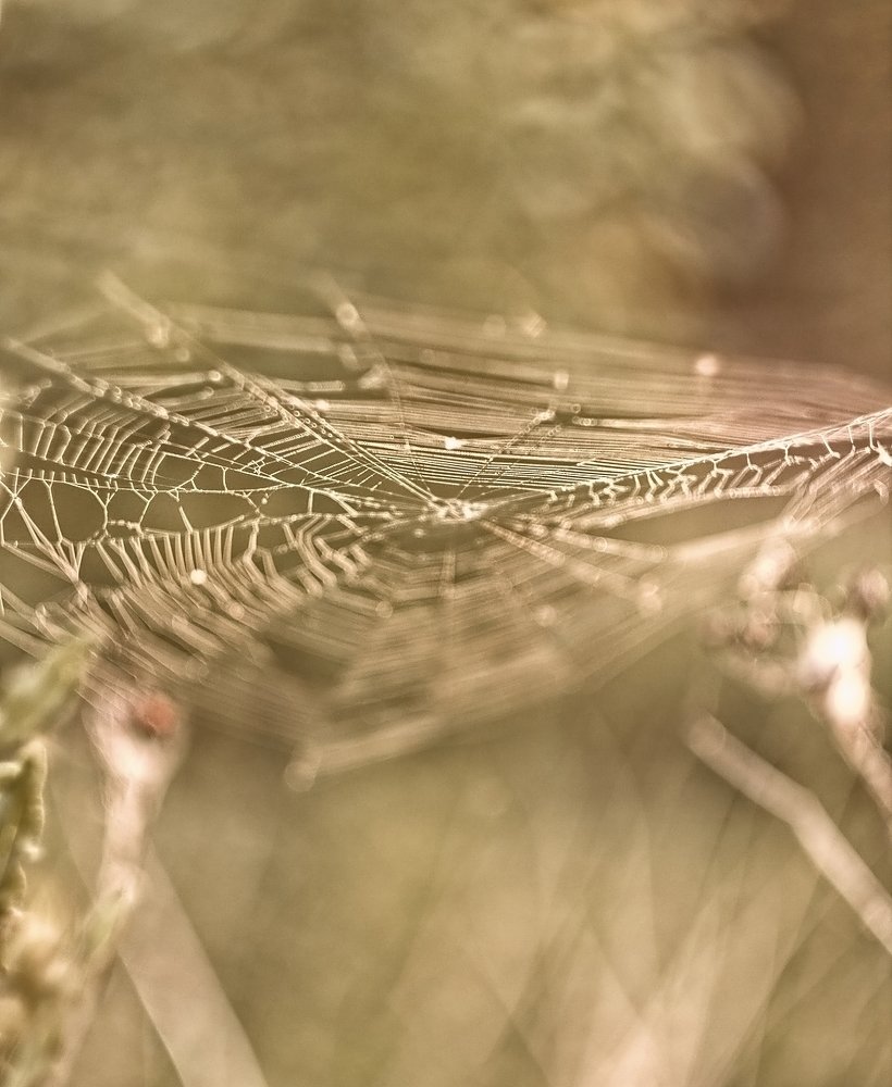 Фотография автора Ewa Lamond