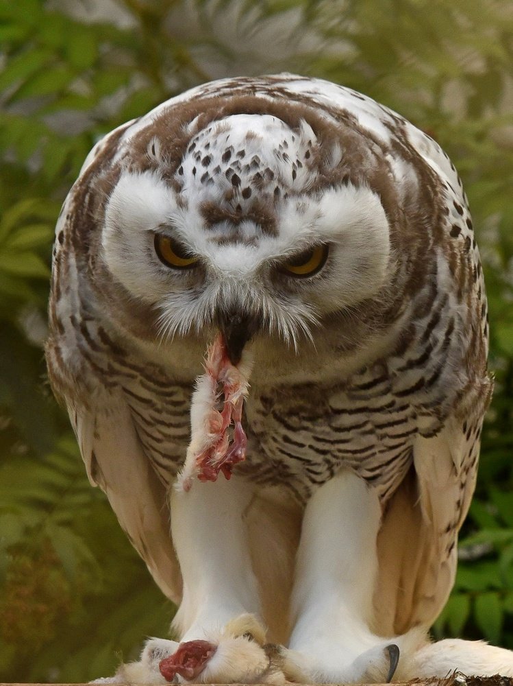 Photograph by Nikolai Savin