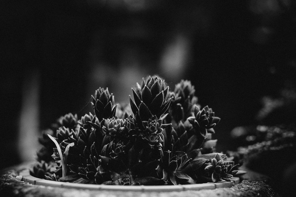 Photograph by Соня Файнберг