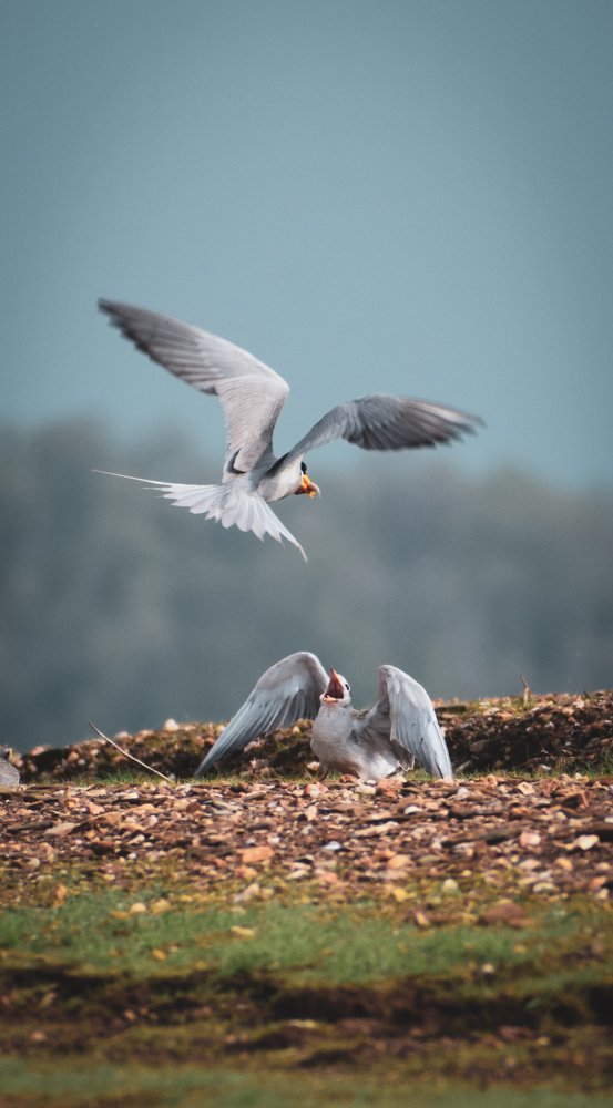 Photograph by Sachin Usapkar