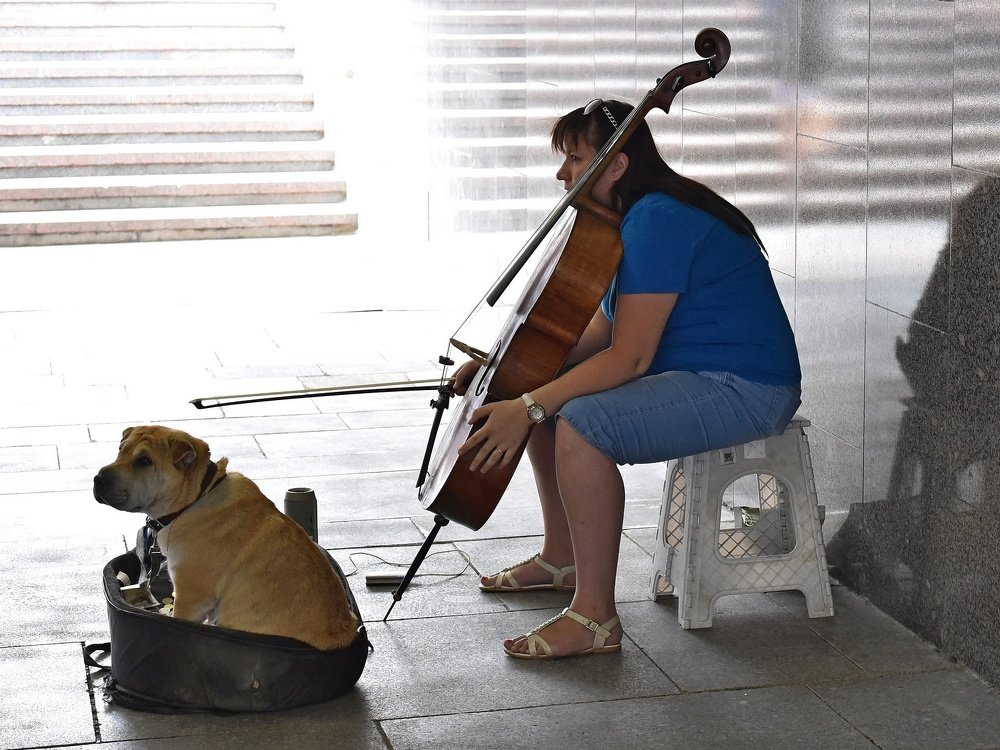 Photograph by Nikolai Savin