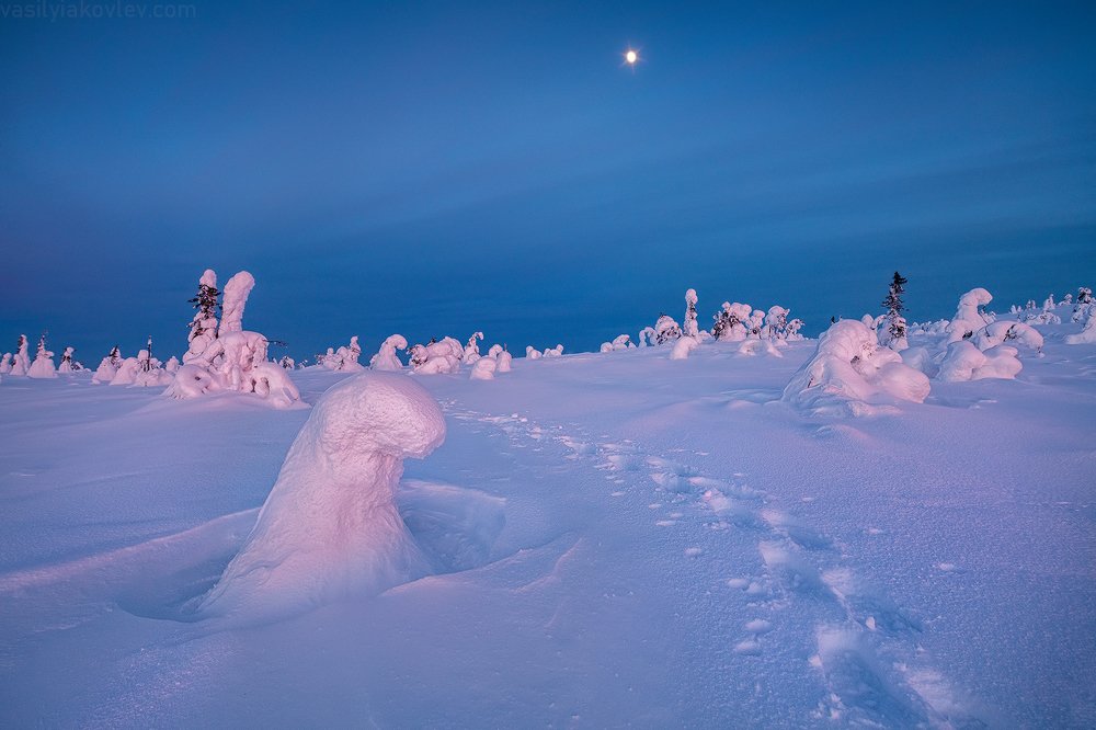 Photograph by Василий Яковлев