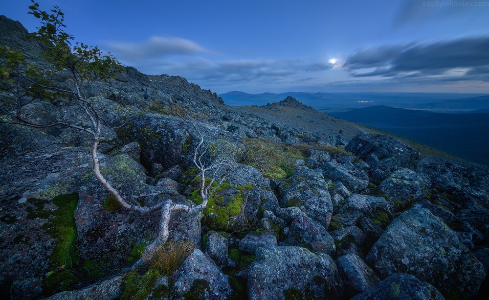 Photograph by Василий Яковлев