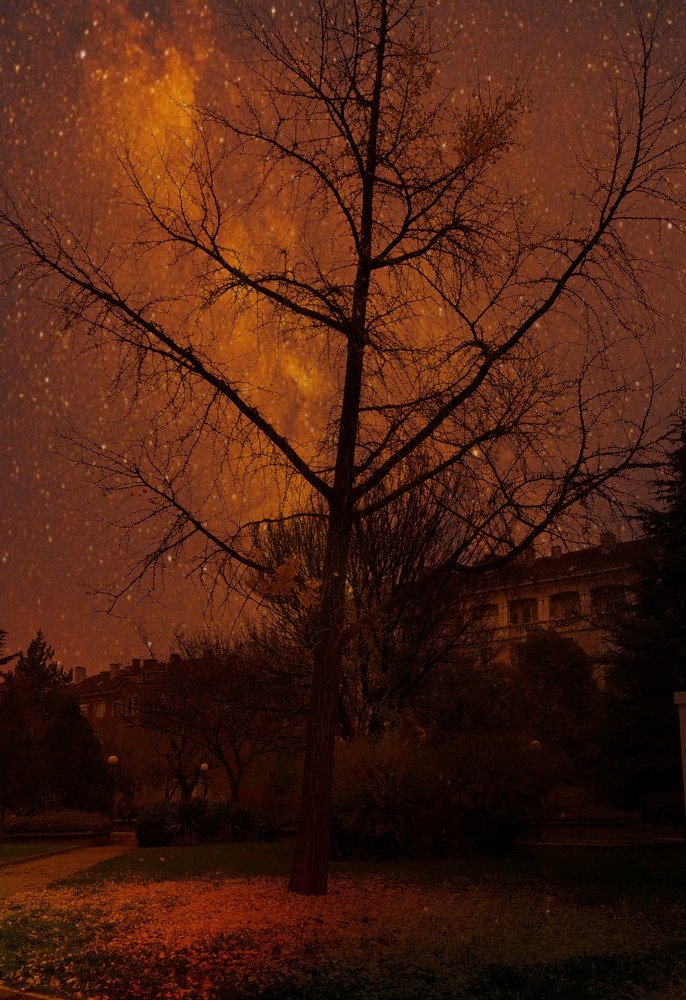 Photo #3937685