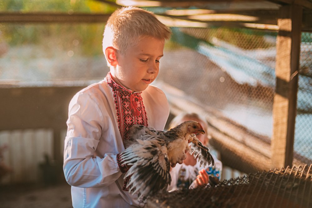 Фотография автора Дарья Шевченко