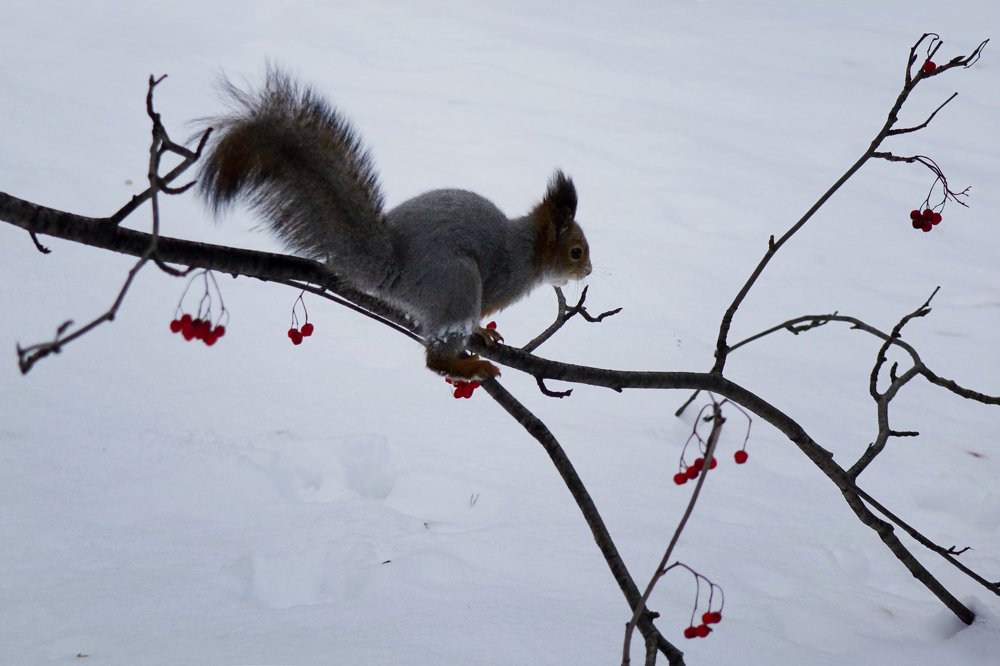 Перед прыжком…