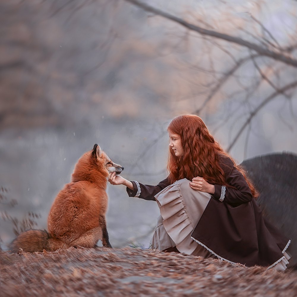 Малышка и лис