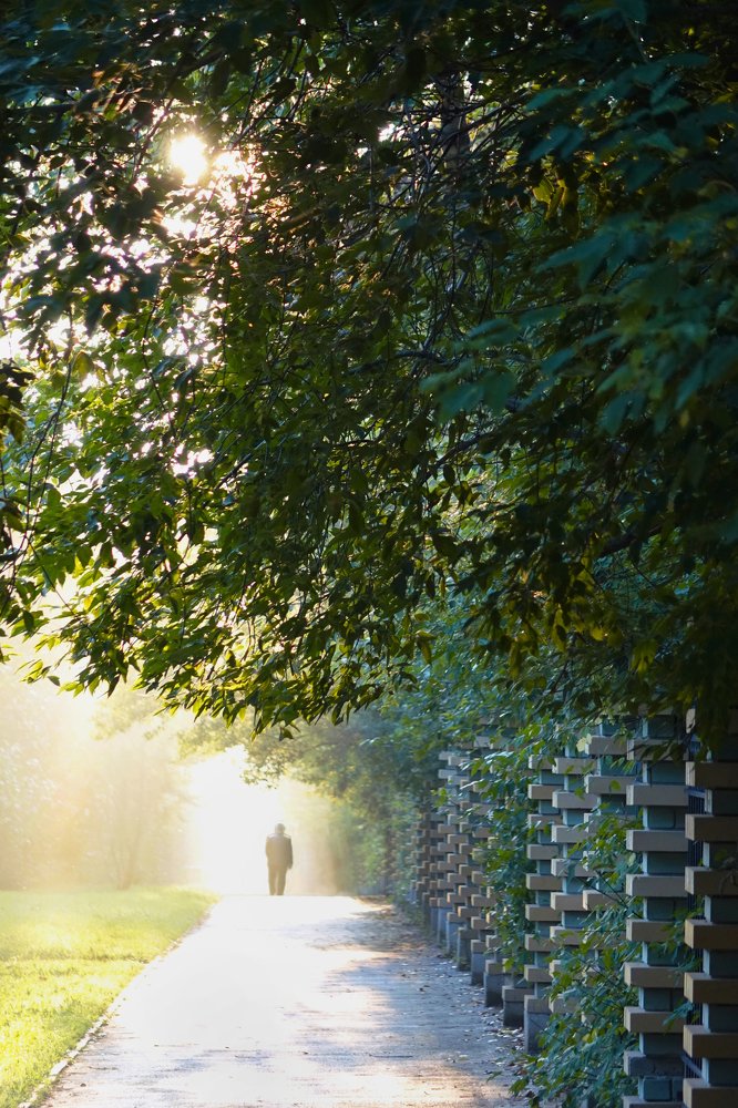 Ранним утром…