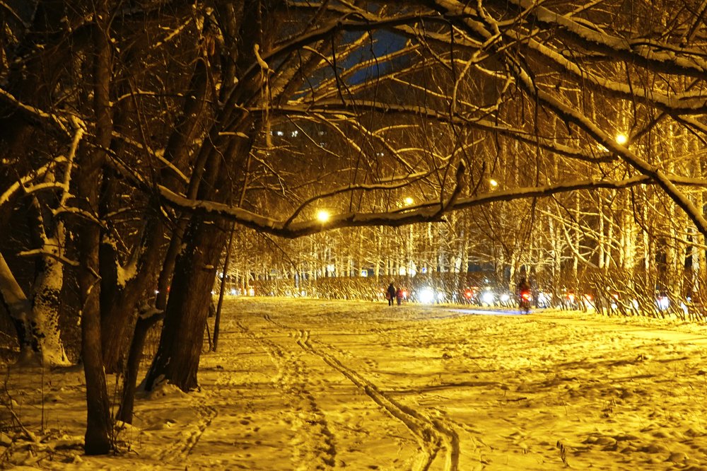 Поздним вечером…