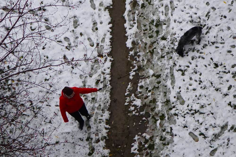 При всякой погоде…