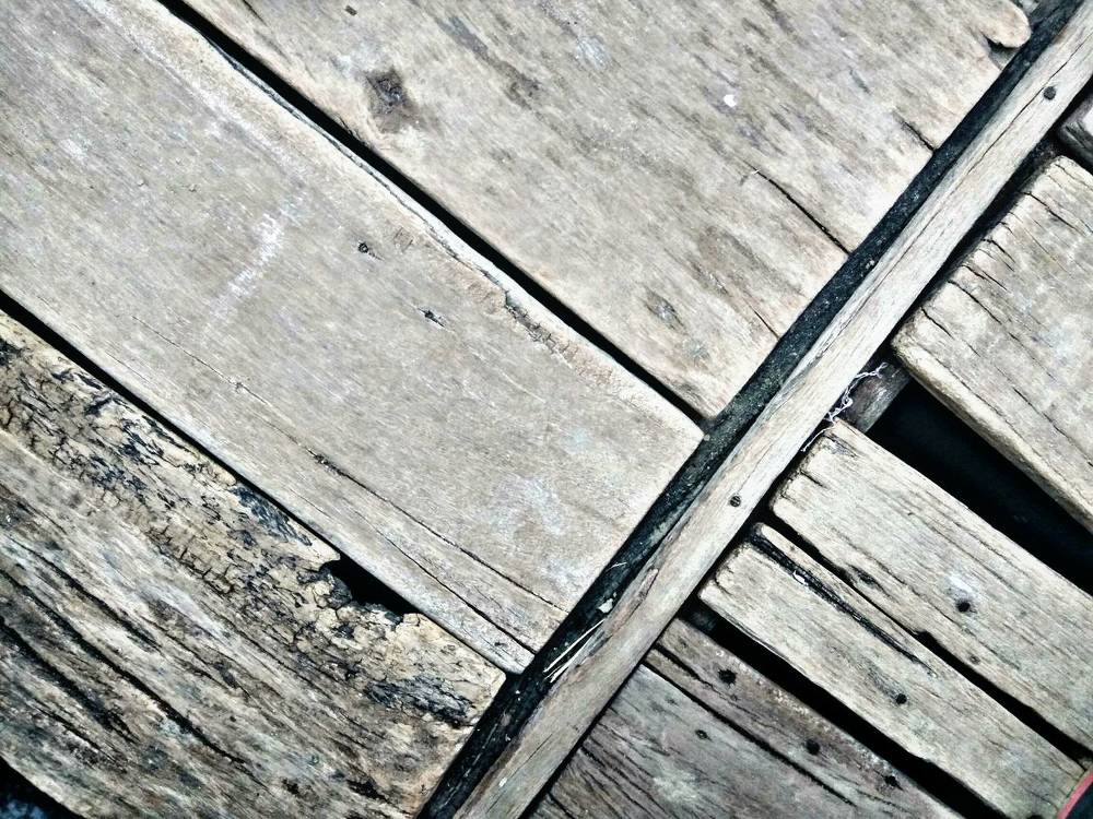 Photograph by Prajjwal Garg