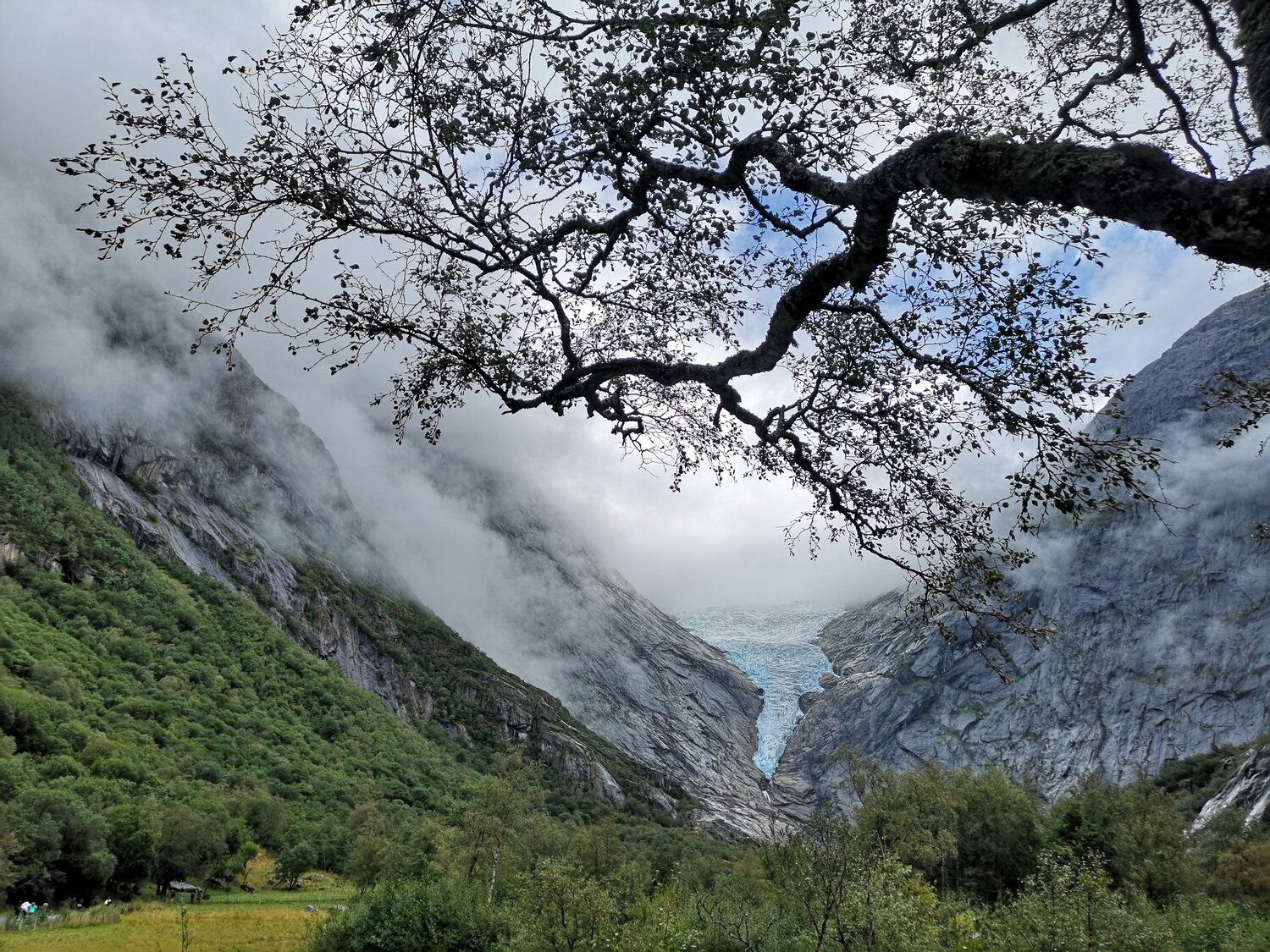 Photo #3937983