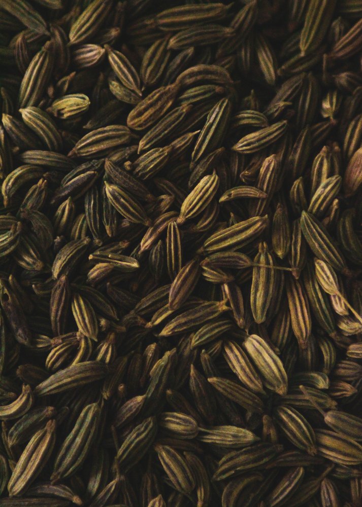 Photograph by Prajjwal Garg