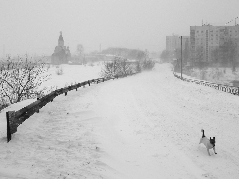 Photograph by Евгений