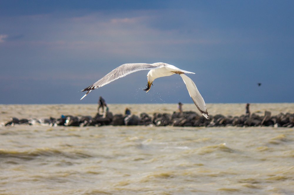 Photograph by Alex Popov