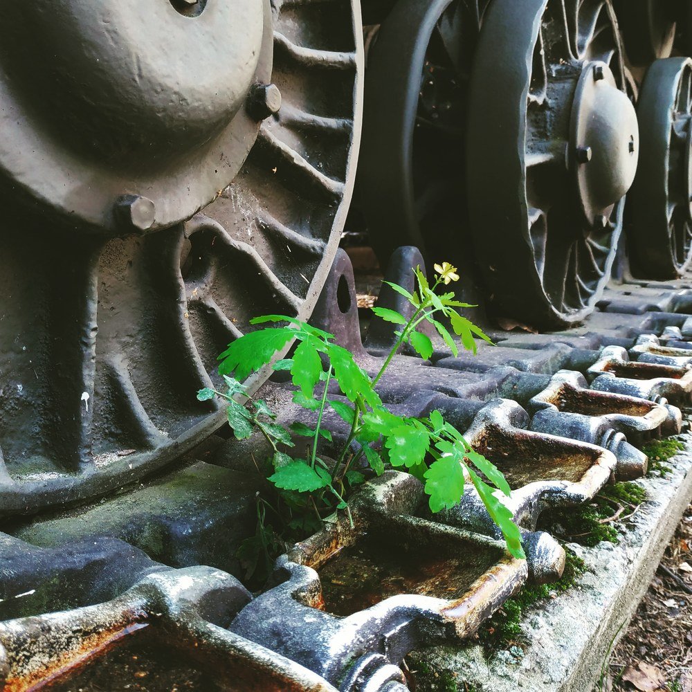 Strength and Tenderness