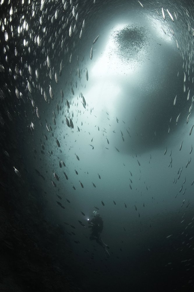 Photograph by Оксана Каменская