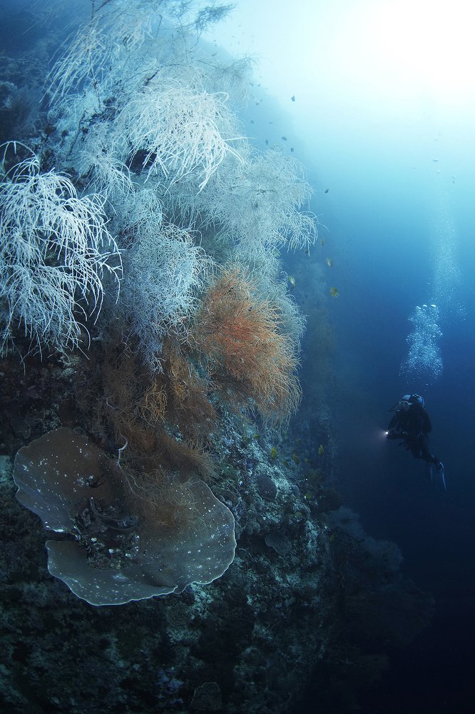 Photograph by Оксана Каменская