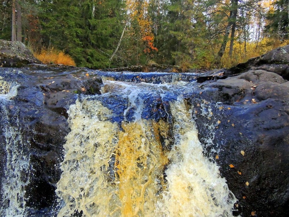 Photograph by Дмитрий Щербаков