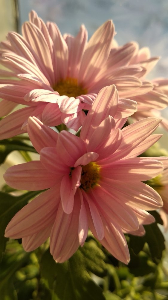 Photograph by Мария Культикова