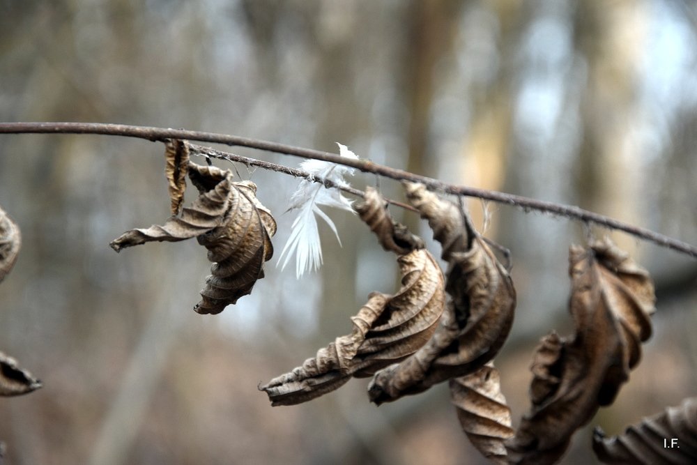Привет от Ангела