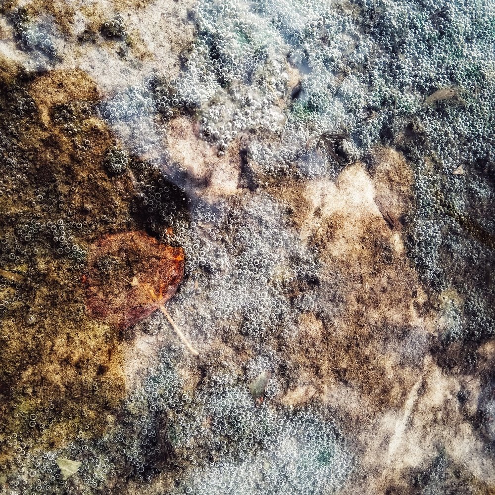 Photograph by Людмила М