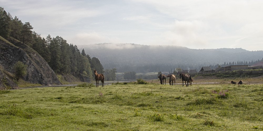 Фотография автора Веста Ягужинская