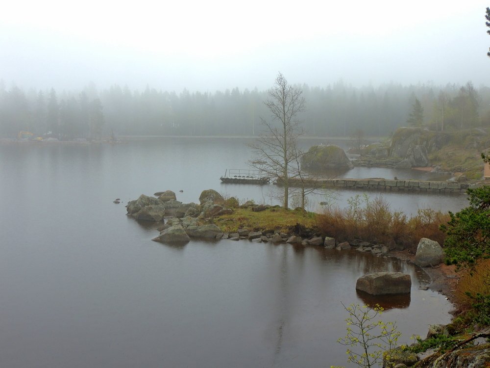 Photograph by Дмитрий Щербаков