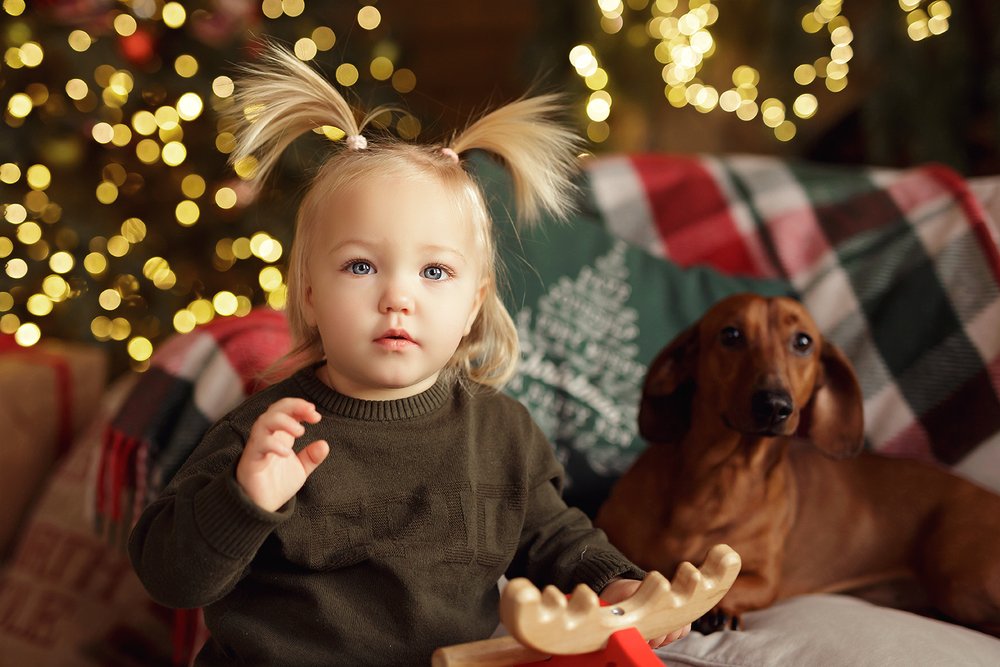 Photograph by Светлана Головихина