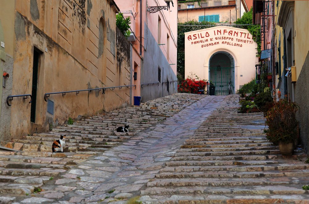 Photograph by Илья