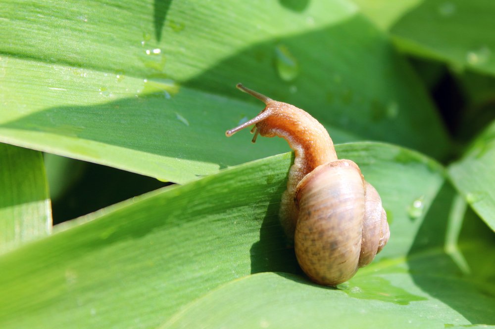 Photograph by Эльза Давлеева
