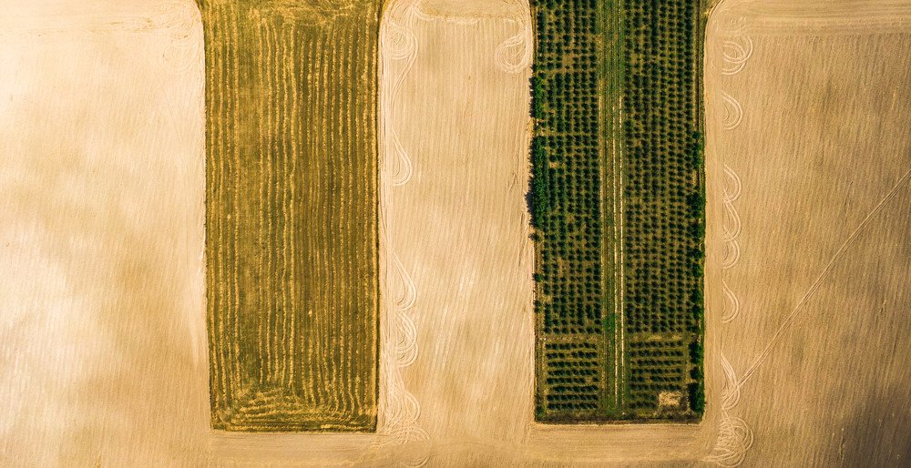 Фотография автора Александр Домбровский