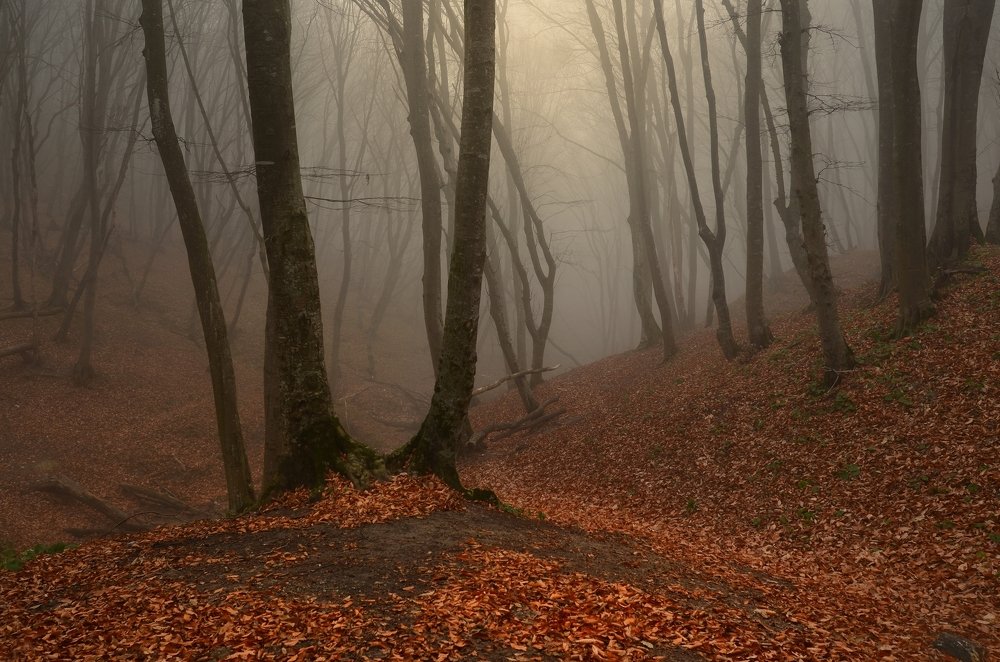 Осеннее утро