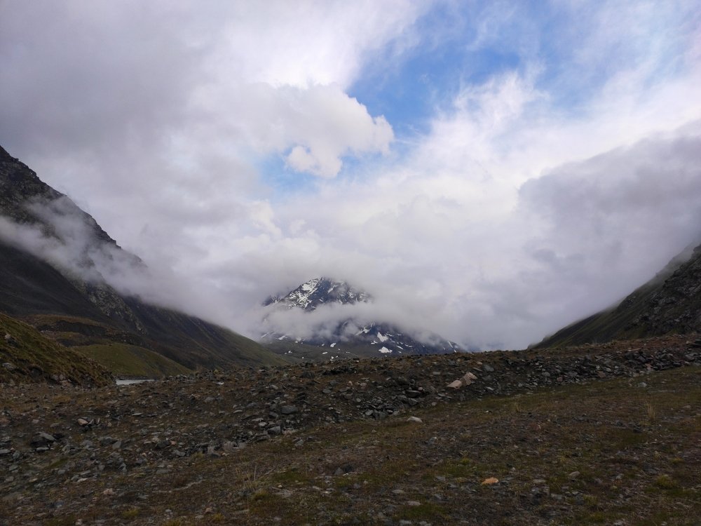 Photo #3939067