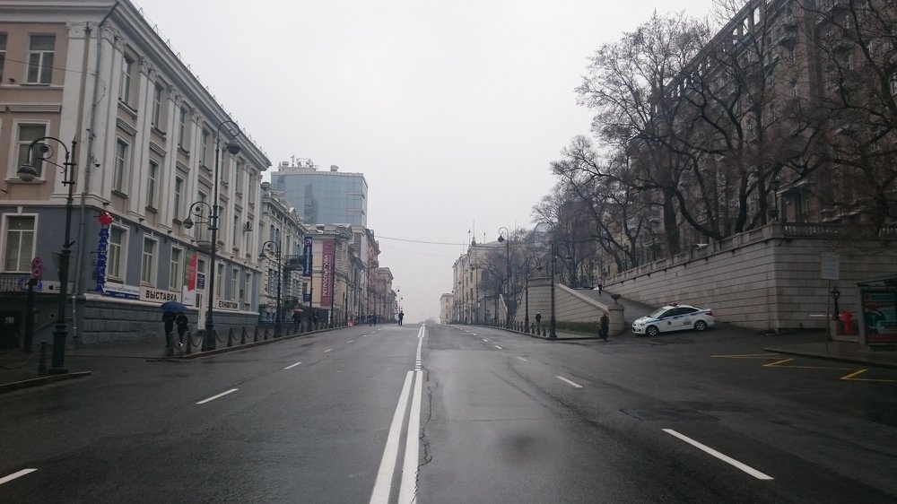 Photo #3939137