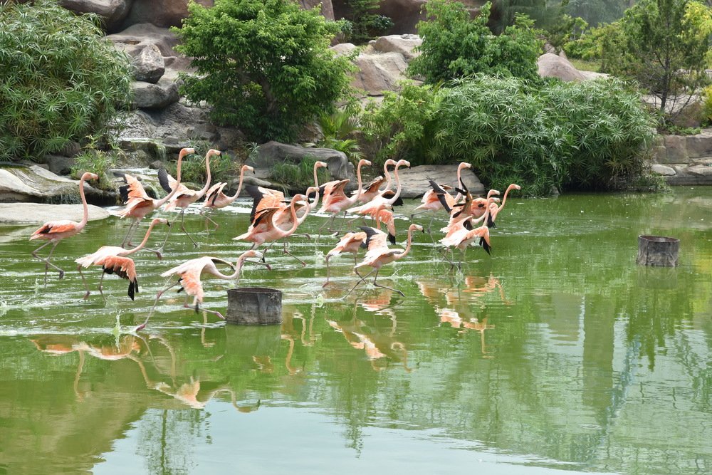 Photograph by Людмила Воропаева