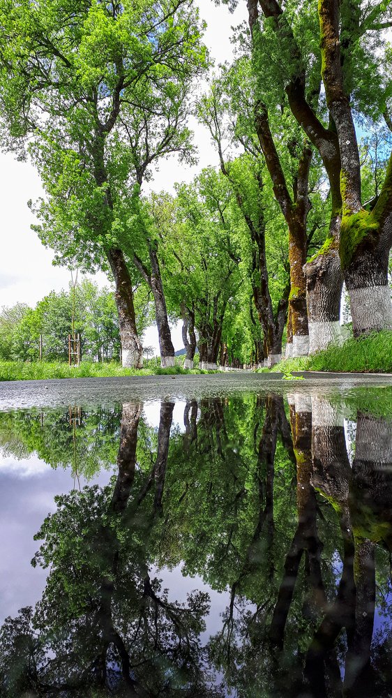 Photograph by Pedro Manuel Perdigão