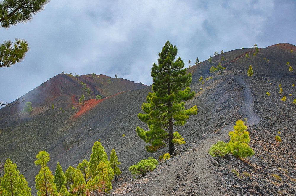 Photograph by Евгения Чех