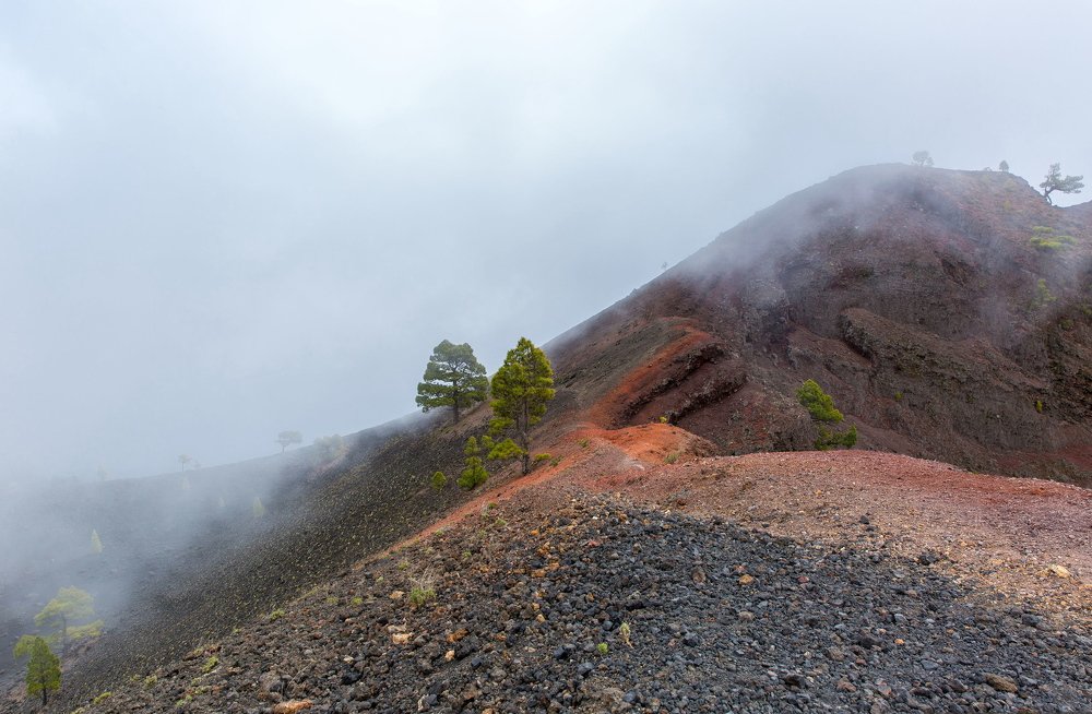 Photograph by Евгения Чех