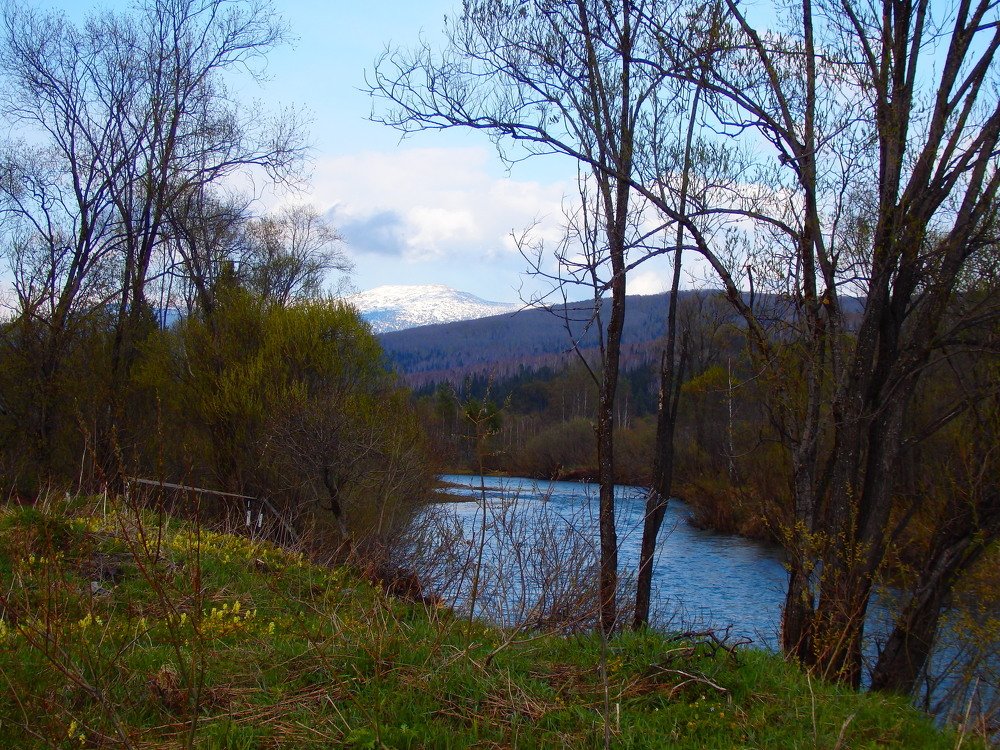 Фотография автора Александр Осинцев