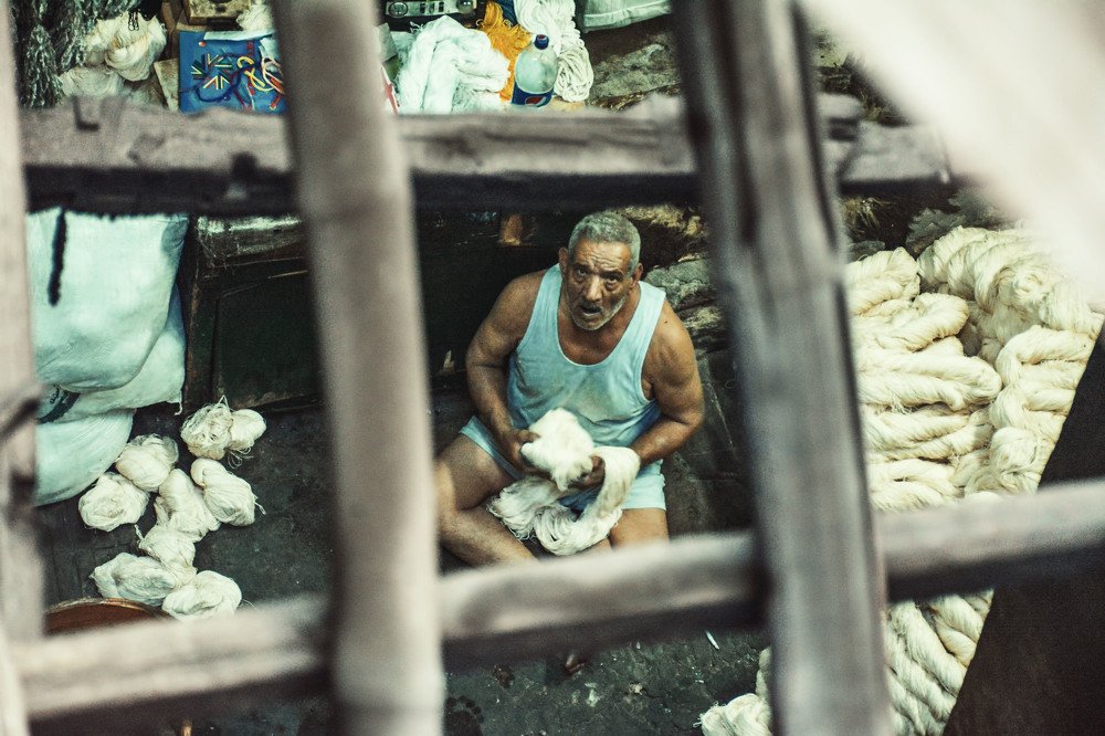 Photograph by ashraf mohamed