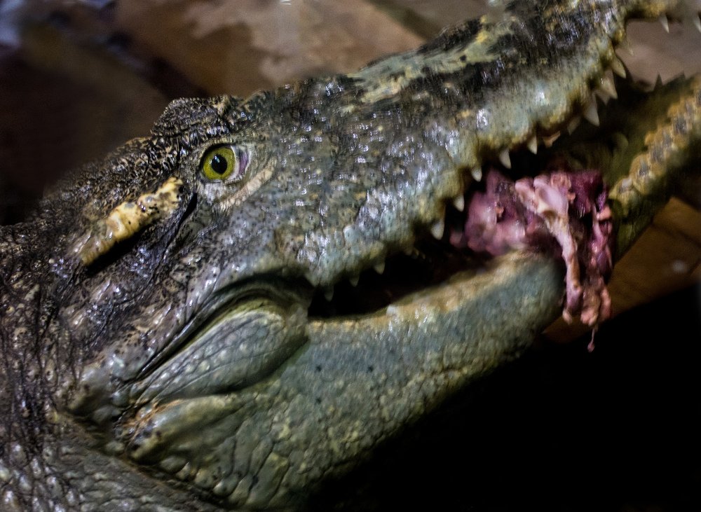 Photograph by Татьяна Зема