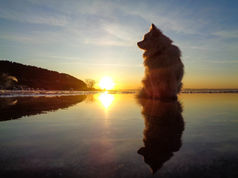 Photo #3939740