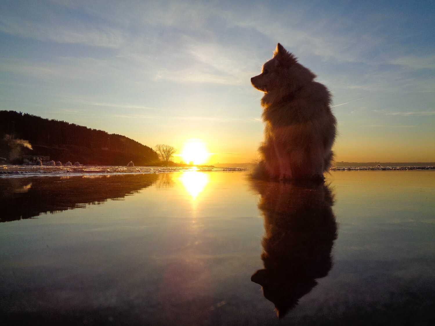 Photo #3939740