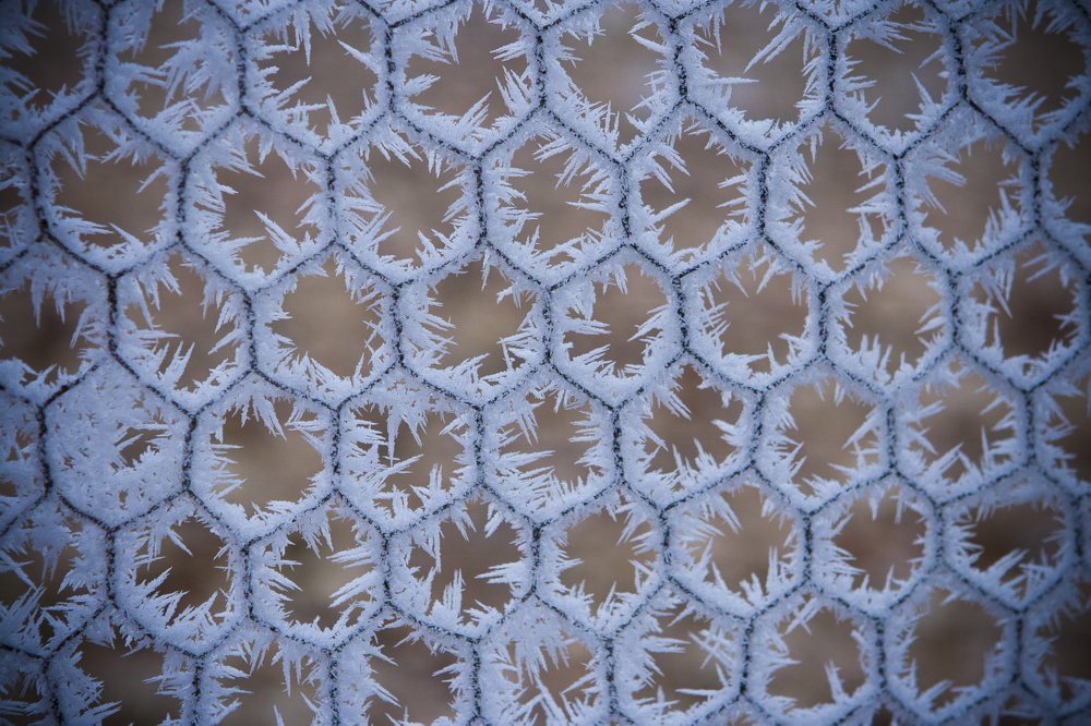 Photograph by Mihai Romeo Bogdan