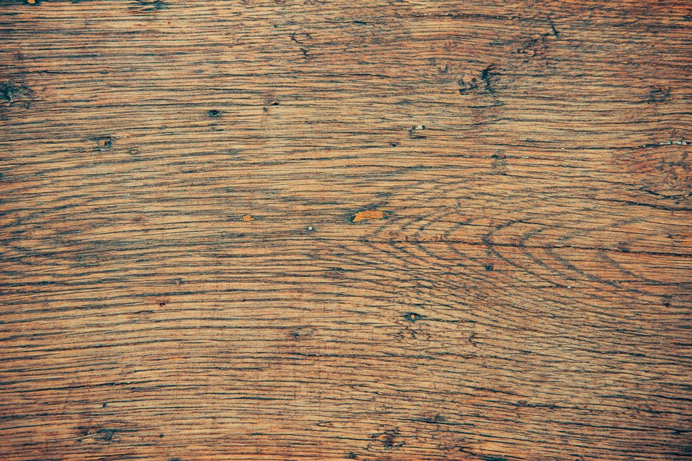 Photograph by Mihai Romeo Bogdan