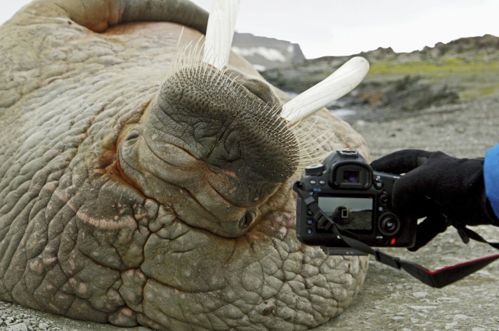 Фото на память